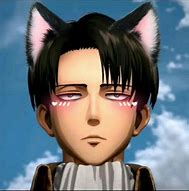 Image result for Anime PFP Levi