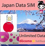 Image result for Japanese Sim Card