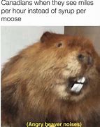 Image result for Angry Beavers Meme