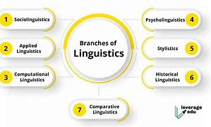Image result for Definition of Linguistics