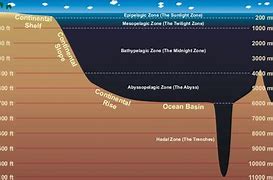 Image result for How Deep Is 47 Meters