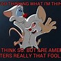 Image result for Pinky and the Brain Get High Meme