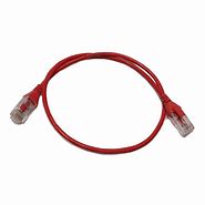 Image result for Cat 5 Ethernet Cable