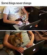 Image result for Sleeping Dawg Meme