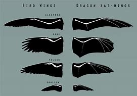 Image result for How to Shade Bat Wings