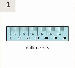 Image result for Zinni Printable PD Ruler