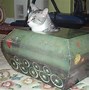 Image result for Cats in a Box Meme