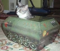 Image result for Funny Cats in Boxes