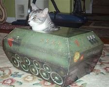 Image result for Funny Cats in Boxes