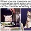 Image result for Telling Smudge Cat Memes