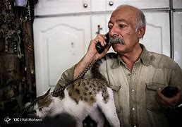 Image result for 9000 Year Old Man Cat