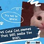 Image result for Cute Cat Meme Drawing
