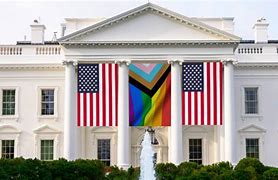 Image result for White House American Flag