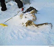 Image result for Bodies Found in Ice