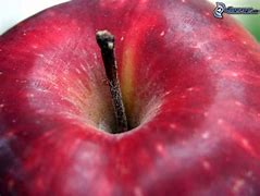 Image result for Dark Red Sour Apple