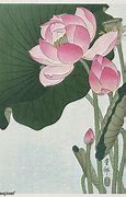 Image result for Lotus Flower Abstract Wallpaper