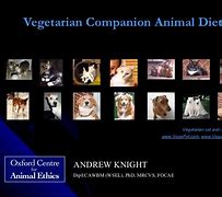 Image result for Vegetarian Dog Food Brands