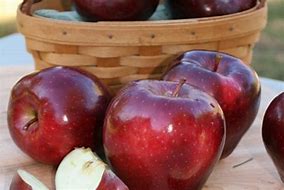 Image result for red delicious apple