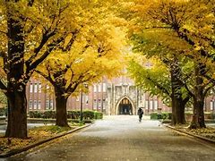 Image result for Tokyo University Red Gate