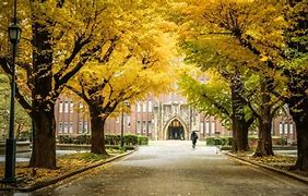 Image result for Andrea Zimova Tokyo University