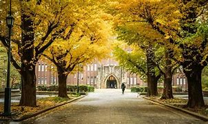 Image result for Tokyo University Map