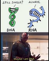 Image result for Memes About RNA