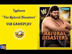 Image result for Typhoon WWE