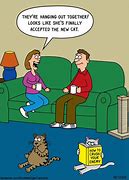 Image result for Cat Joke of the Day