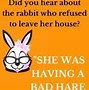 Image result for Funny Rabbit Jokes