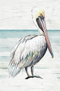 Image result for Pelican Paintings