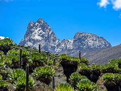 Image result for Mount Kenya Berg