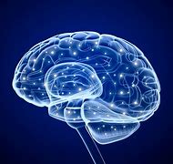Image result for Beautiful Brain HD Wallpaper