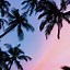 Image result for Palm Pixi Phone Wallpapers