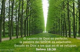 Image result for Salmos 18 30
