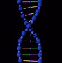 Image result for Gene Traits DNA