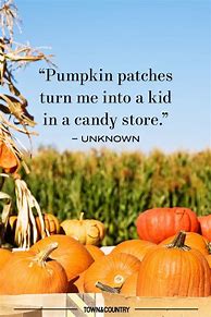 Image result for Pumpkin Patch Quotes