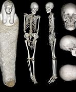 Image result for Skeleton Mummy