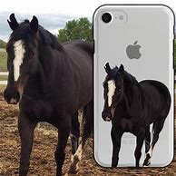 Image result for Phone Cases Horse Real