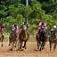 Image result for Horse Racing Vector