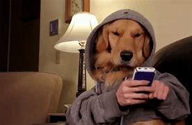 Image result for Person Looking at Cell Phone