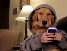 Image result for Phone Meme GIF