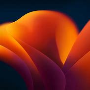 Image result for iPhone XR Wallpaper Orange