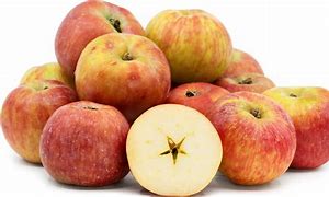 Image result for Different Apples Gravenstein