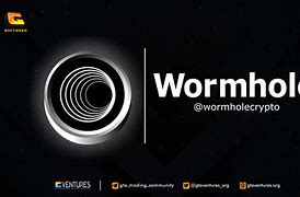 Image result for Wormhole Coin Logo