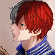 Image result for Little Todoroki