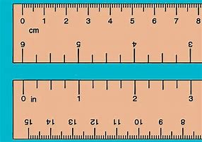 Image result for How Long Is an Inch in Cm