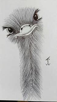 Image result for Easy Pencil Drawings