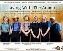 Image result for Romance Amish Movies