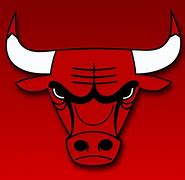 Image result for Chicago Bulls Team Logo
