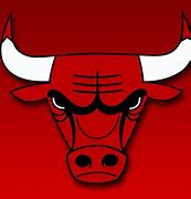 Image result for Bulls Team